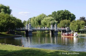 The same lagoon during summer