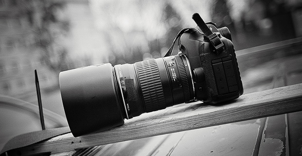 Tips For Choosing the Right Stock Photo