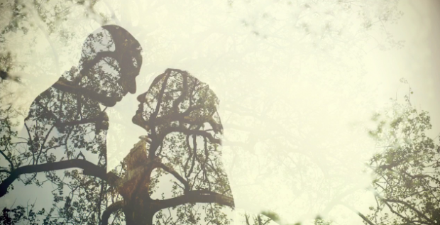 wedding photographer ideas