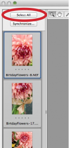 Screen Shot 2014-04-21 at 9.26.02 AM
