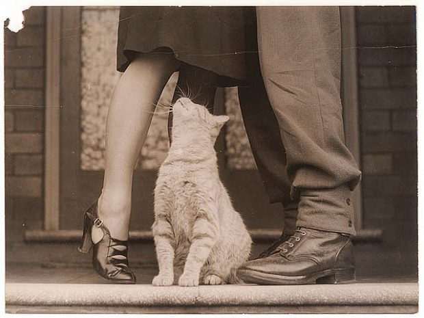 vintage love photos