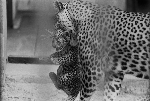 3235966919_56eec0a7bc_z