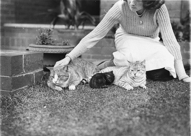 vintage pet photography
