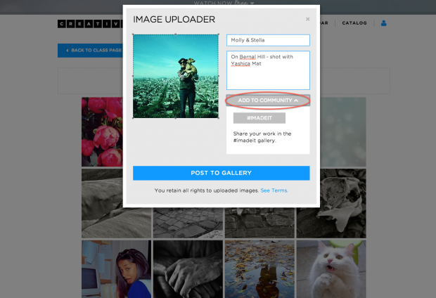 Step 4: fill out title and description and click 'add to community' and select #imadeit