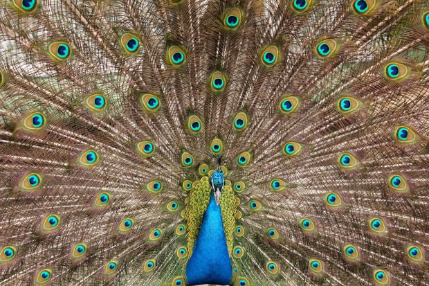 Photo via Mateusz Drogowski on Flickr.