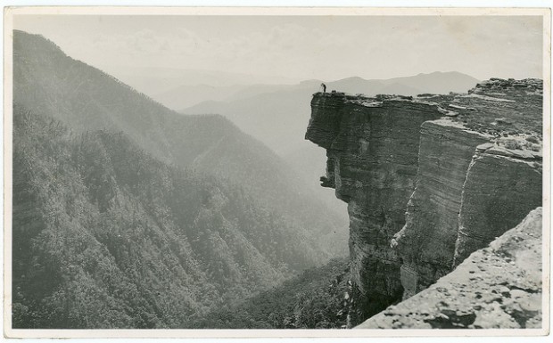 vintage nature photography