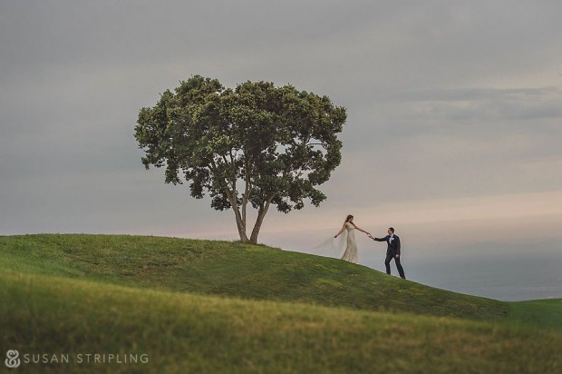 susan stripling mentorship