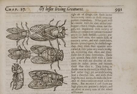 vintage animated gifs