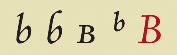 D.TypeTerminology_Strizver