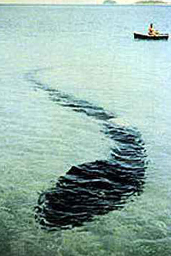 Le-Serrec-monster-tadpole-350-px-tiny-Nov-2013