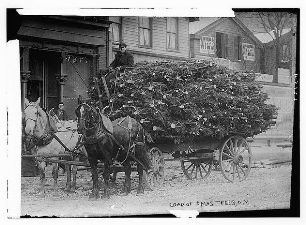 vintage christmas photos