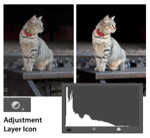 Adjustment layer icon