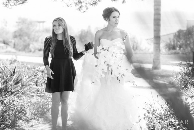 jasmine star in action