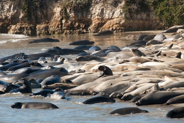 15383362153_1296c06f5f_z