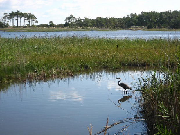 2907934527_143ed74aae_z