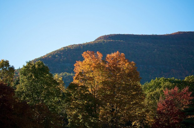 2961130307_c88bf80526_z