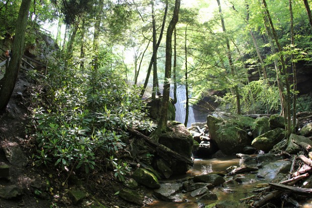 5805980477_7af5605bd0_z