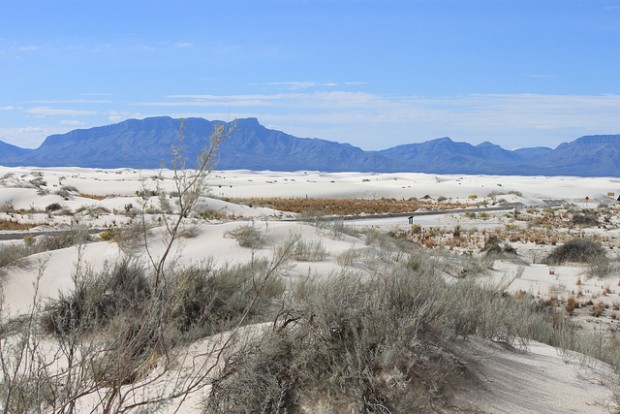 9549819701_44751f755a_z