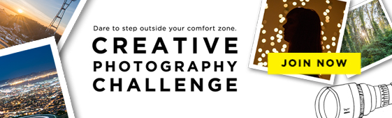 Creative Photography Challenge
