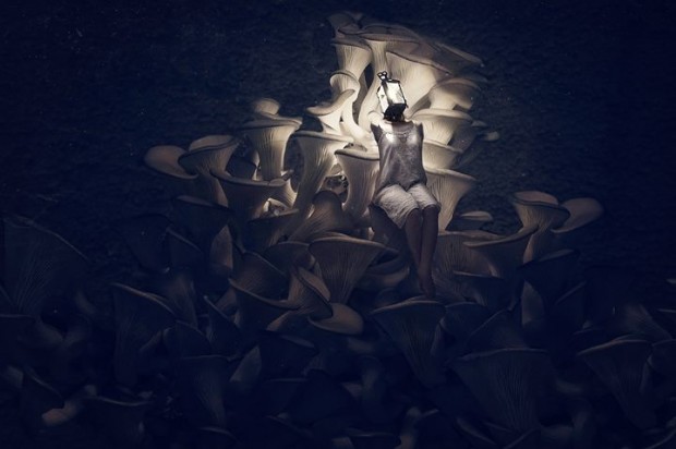 10. Top Submission for CreativeLive Photo Week Contest Tom Berthelot