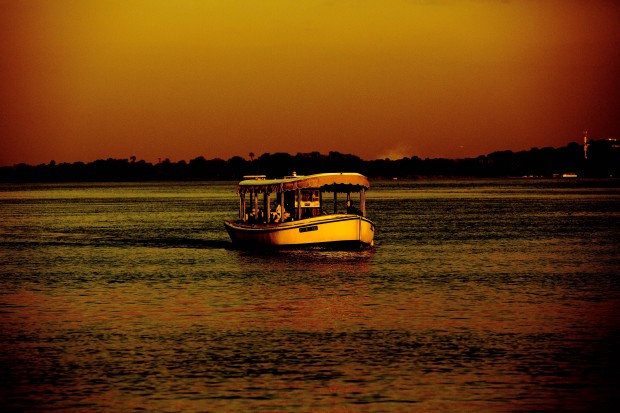 7. Top Submission for CreativeLive Photo Week Contest Tatenda Magpioti