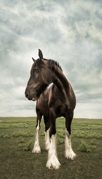 9. Top Submission for CreativeLive Photo Week Contest Karyn Lee