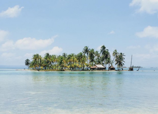 Learn How to Design the Life You Love Today