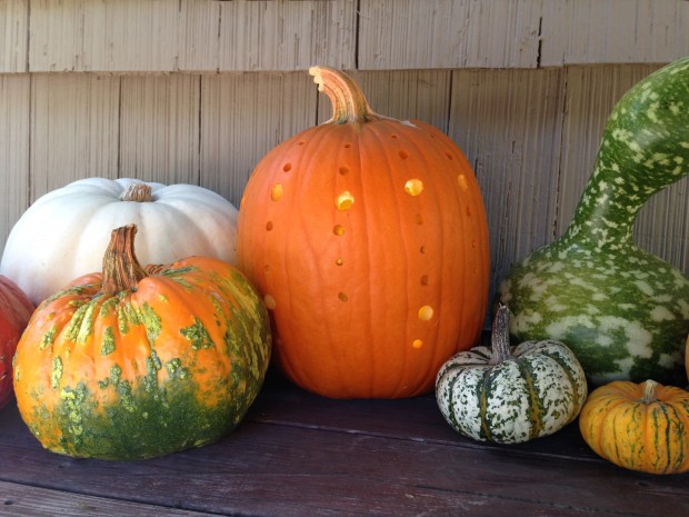 creative halloween pumpkin ideas