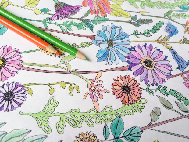 Download the Free CreativeLive Coloring Book!