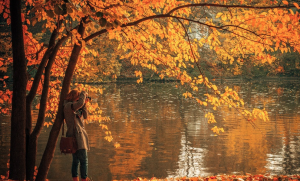 Screen Shot 2016-03-20 at 10.54.06 PM