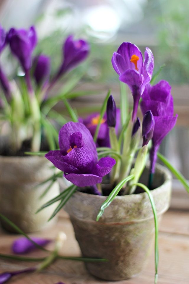 Whether you celebrate Easter, or just love a home full of fluffy bunnies, this round-up of spring paper crafts is for you!