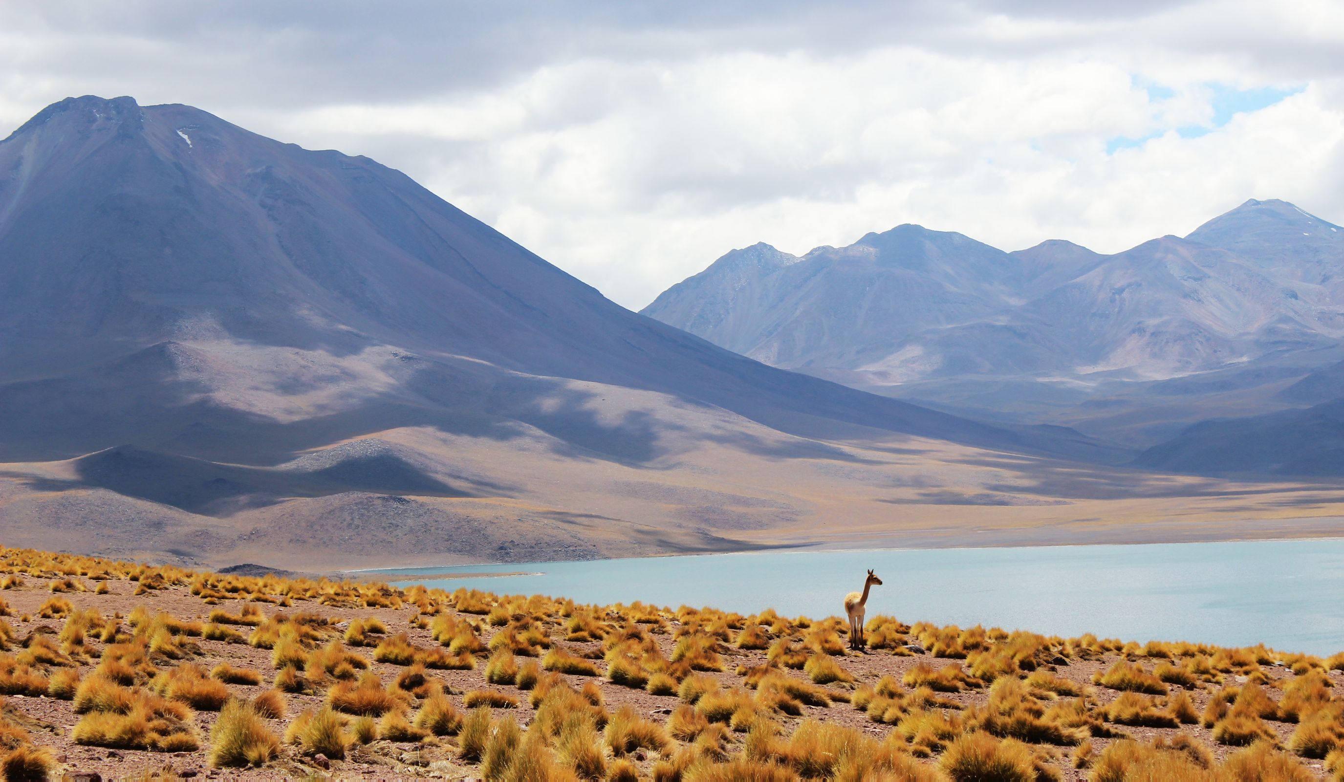 best lens for landscape photography