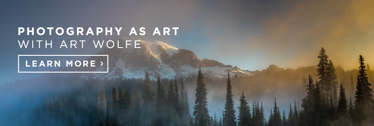 031017_Photo_Art Wolfe_Photography as Art_Blog Ad CTA_LEARN_1240x420