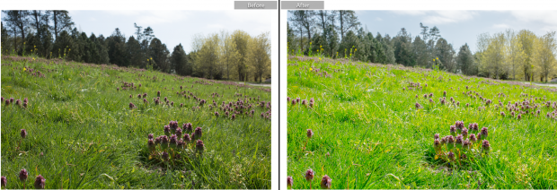 Ben Willmore Lightroom CC Photo Editing: The Complete Guide