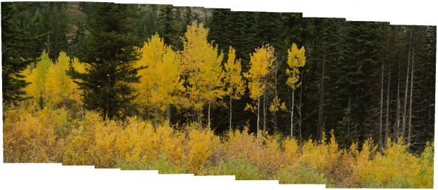 Crooked_horizon for how to take a panoramic photo