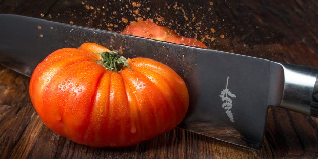 the best camera and lens for pro food photography