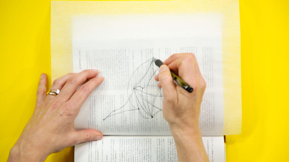 Entopic Graphomania: Weekly Project #3 with Brooks Chambers