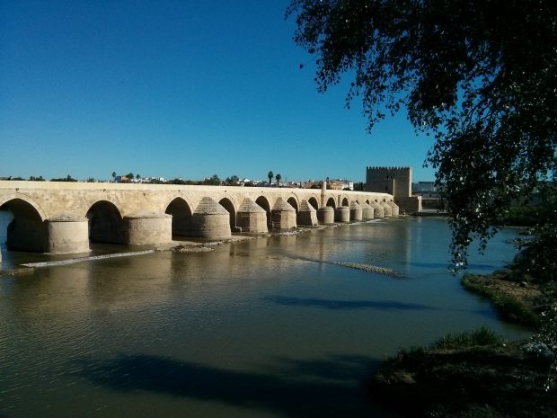 10823519785_f53176a1a4_k