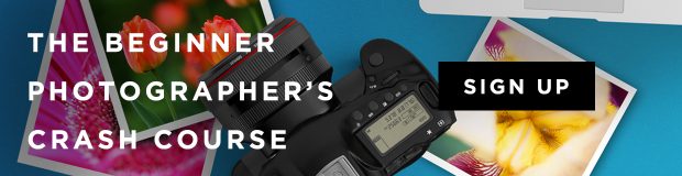 Beginner photographer crash course