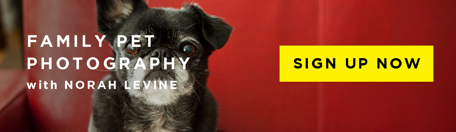 Blog_Ad_CTA_SIGN_UP_1450x420