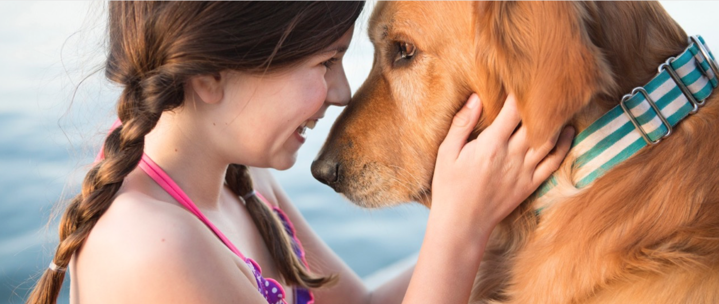 Norah Levine Pet Photography