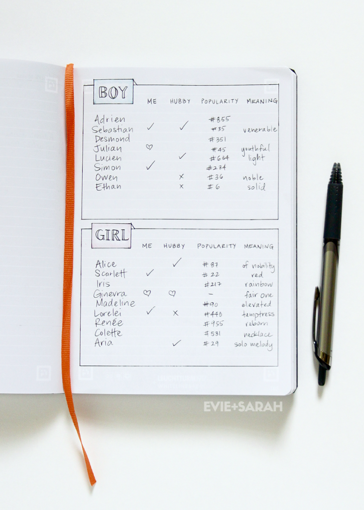 04-pregbulletjournal-cl