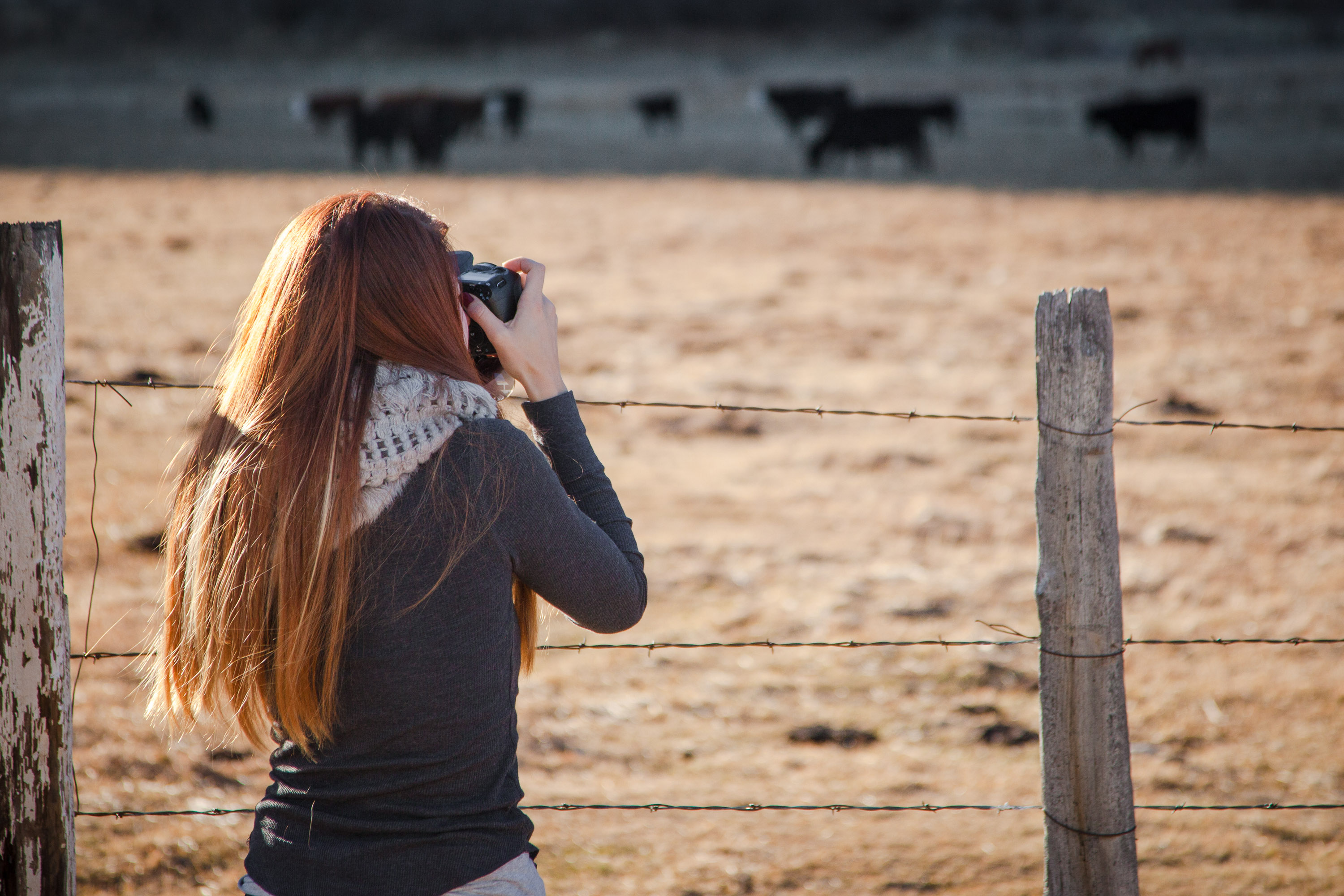 How to Become a Photographer with CreativeLive's Classes