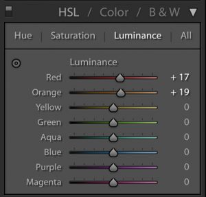 Retouching photos: skin