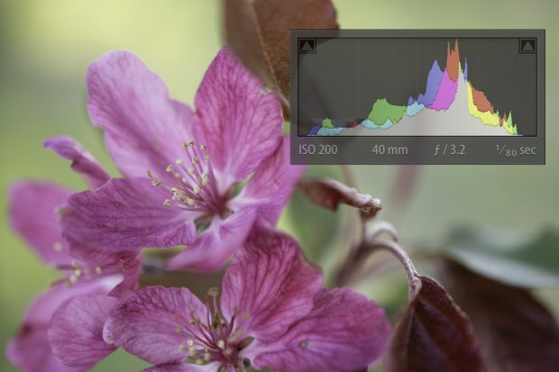 How to read a histogram