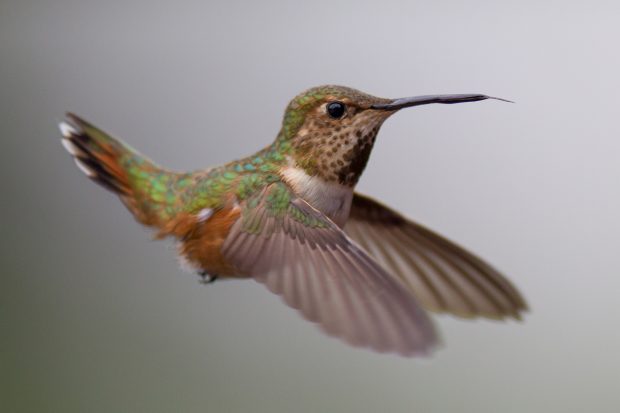 Playing with shutter speed settings