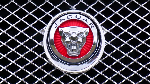 Jaguar logo.