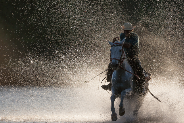 Watch and Learn: John Greengo on the Road with Art Wolfe
