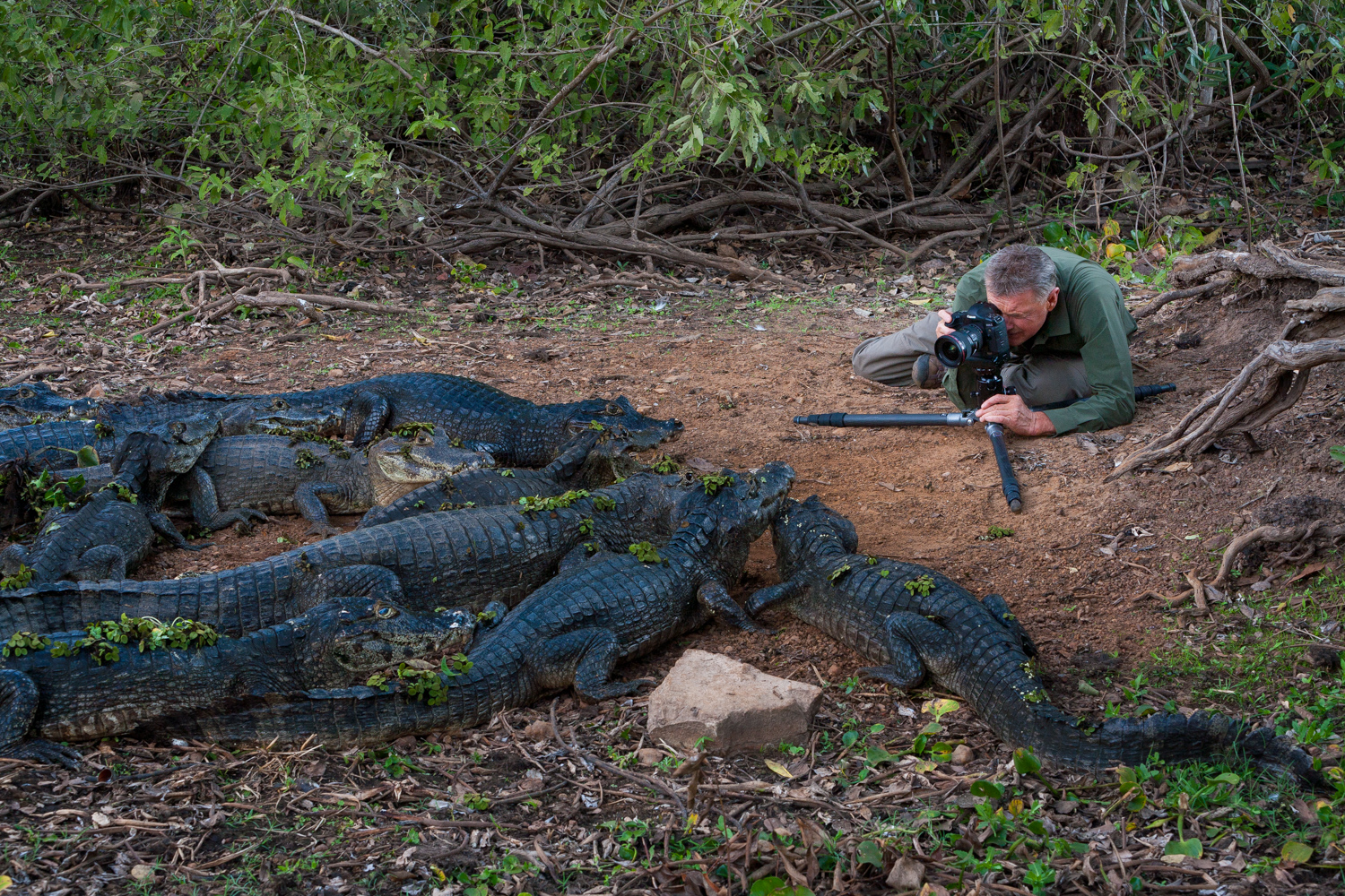 Watch and Learn: John Greengo on the Road with Art Wolfe