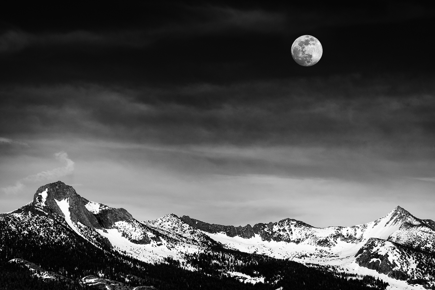 We've got a list of the best gifts for photographers for under $50. You'll find something awesome and affordable the photographer you love will appreciate.